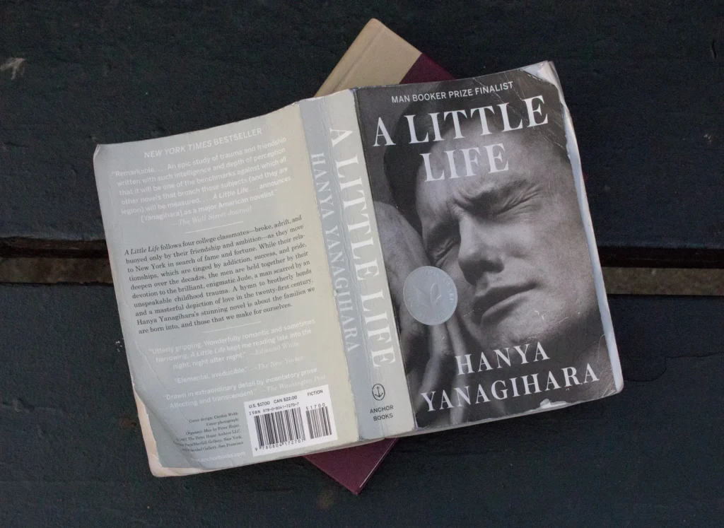 A Little Life Book: Complete Guide, Summary, Themes, and Why It Became So Popular a little life book