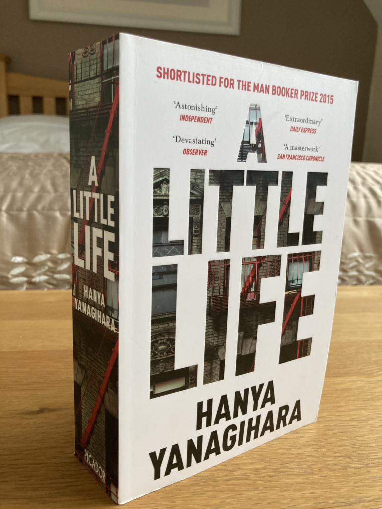 a little life book